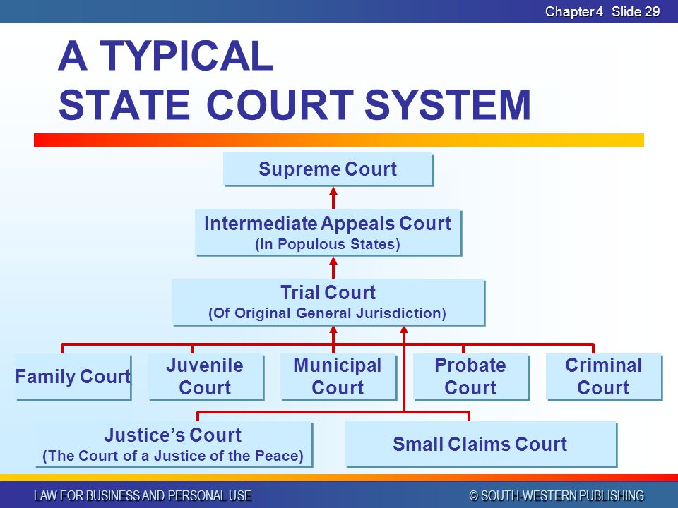 Chapter 3  The Court System
